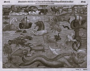 Beauties and Beasts: Whales from Early-Modern Monsters to Today’s Flagship Species 21 021623-48-History-Animals