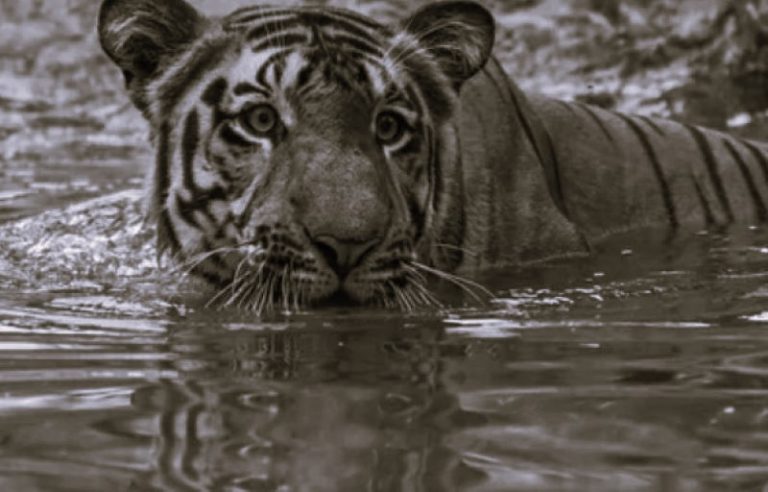 022323-11-Climate-Change