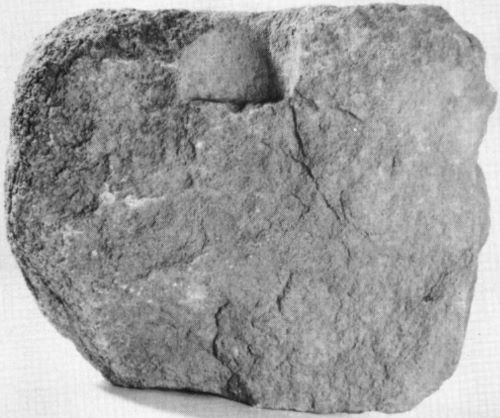 Back surface of the new fragment of the Siphnian Karyatid’s polos