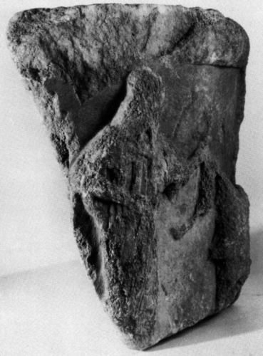 Detail view of the woman holding the animal