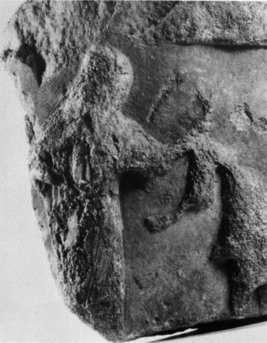 Detail view of the woman holding the animal