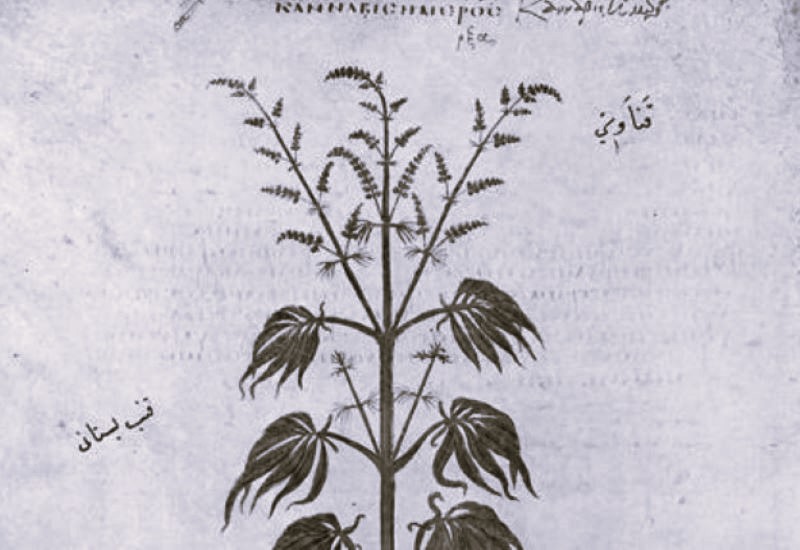 How Cannabis Smoking Has Changed Over Time Brewminate A Bold Blend of News and Ideas