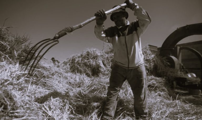 030623-12-Agriculture