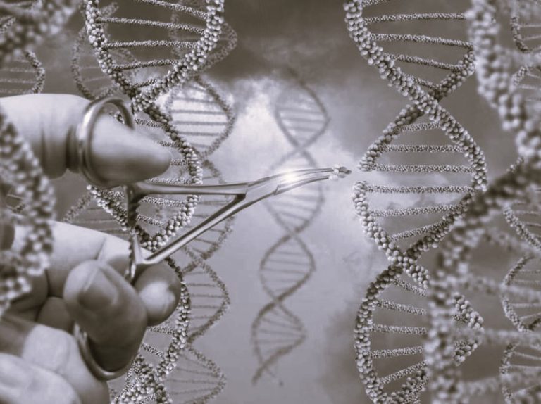 030823-03-Science-Technology