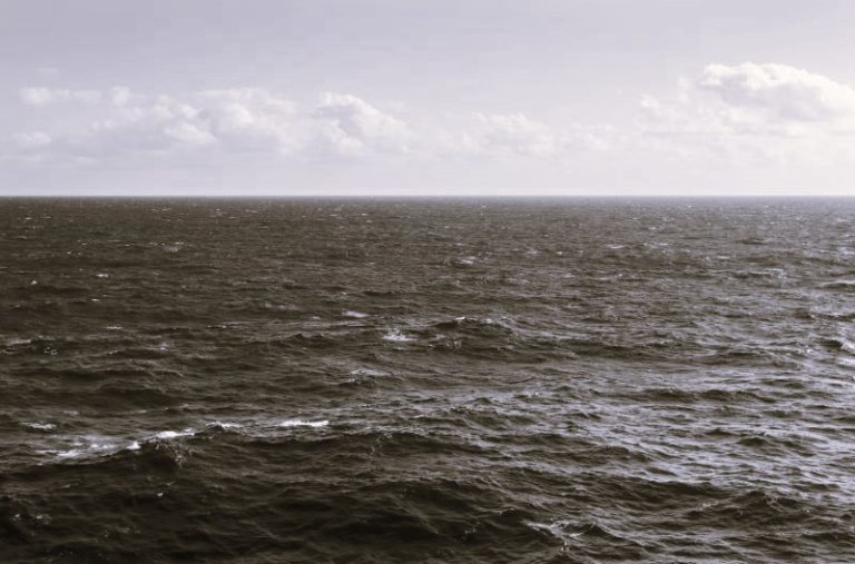 TravelTheOceans-Mamma01