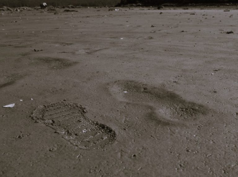 040123-30-Prehistoric