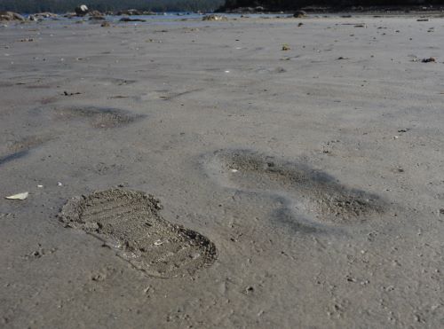 Prehistoric Footwear: Foot Protection and Walking Patterns in the Pliocene and Pleistocene