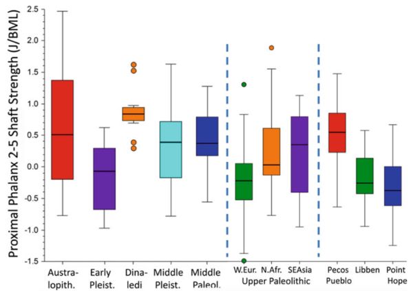 Prehistoric Footwear: Foot Protection and Walking Patterns in the Pliocene and Pleistocene