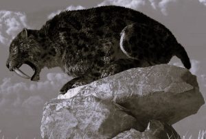 Sabertooth Cat: An Iowa Skull and New Details about the Ice Age Predator 28 040423-03-History-Animals