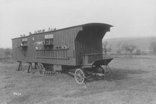 Carrier Pigeons: The Unsung Heroes of World War I Communication 4 Photograph of a mobile station that was used to house pigeons