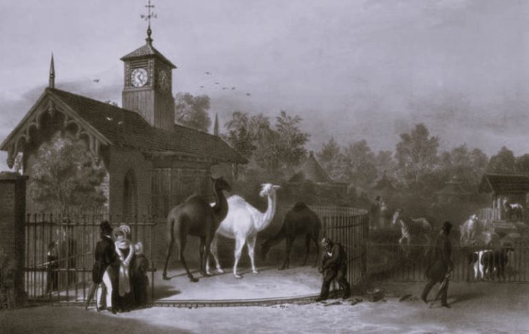 041623-37-History-Animals