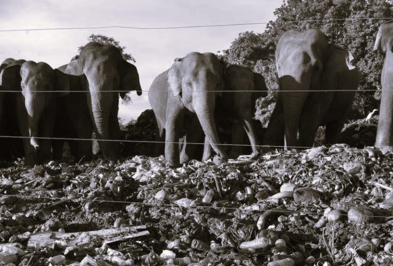 042823-02-Environment