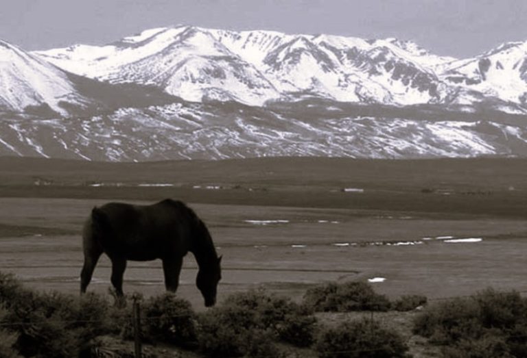 043023-05-Environment-Animals