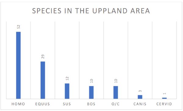 Finitude: Human and Animal Sacrifice in a Medieval Norse Setting 6 Finitude: Human and Animal Sacrifice in a Medieval Norse Setting