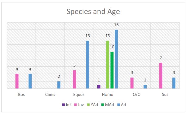 Finitude: Human and Animal Sacrifice in a Medieval Norse Setting 7 Finitude: Human and Animal Sacrifice in a Medieval Norse Setting