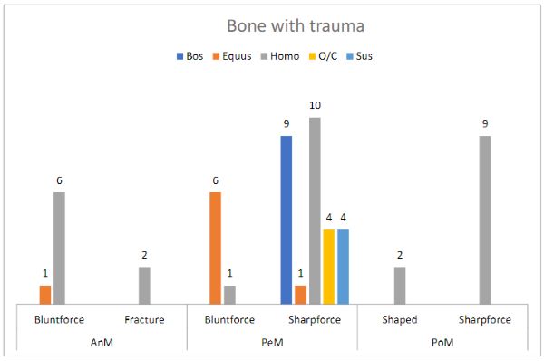 Finitude: Human and Animal Sacrifice in a Medieval Norse Setting 10 Finitude: Human and Animal Sacrifice in a Medieval Norse Setting