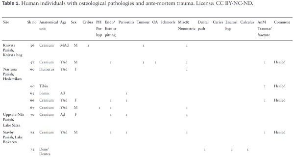 Finitude: Human and Animal Sacrifice in a Medieval Norse Setting 11 Finitude: Human and Animal Sacrifice in a Medieval Norse Setting