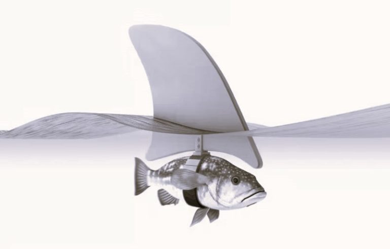 050123-34-Technology