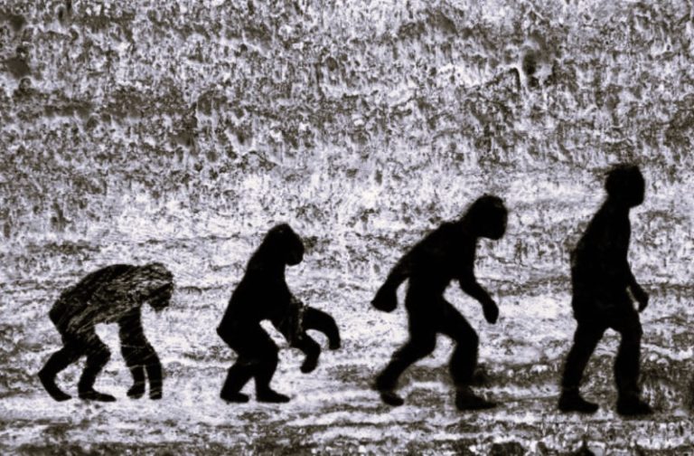 050523-39-Biology-Evolution