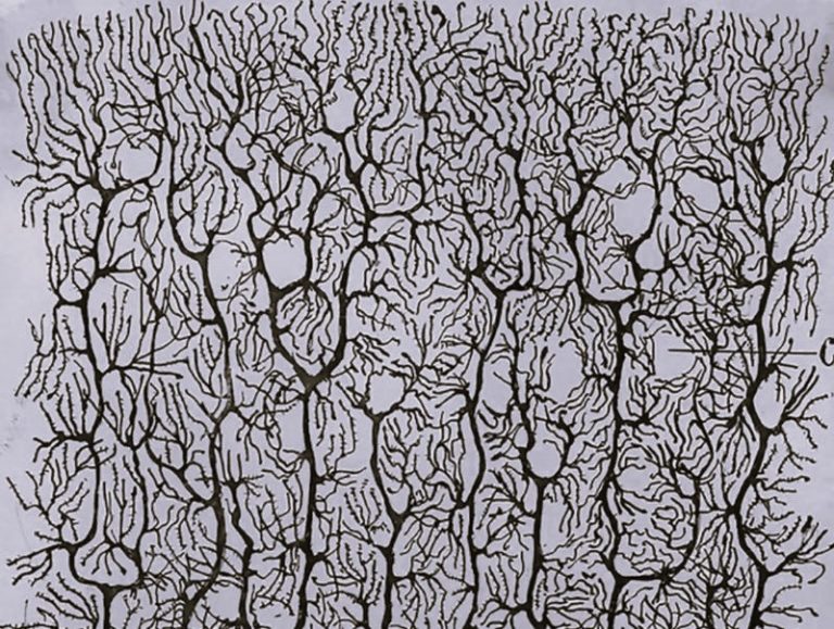 051123-45-History-Science