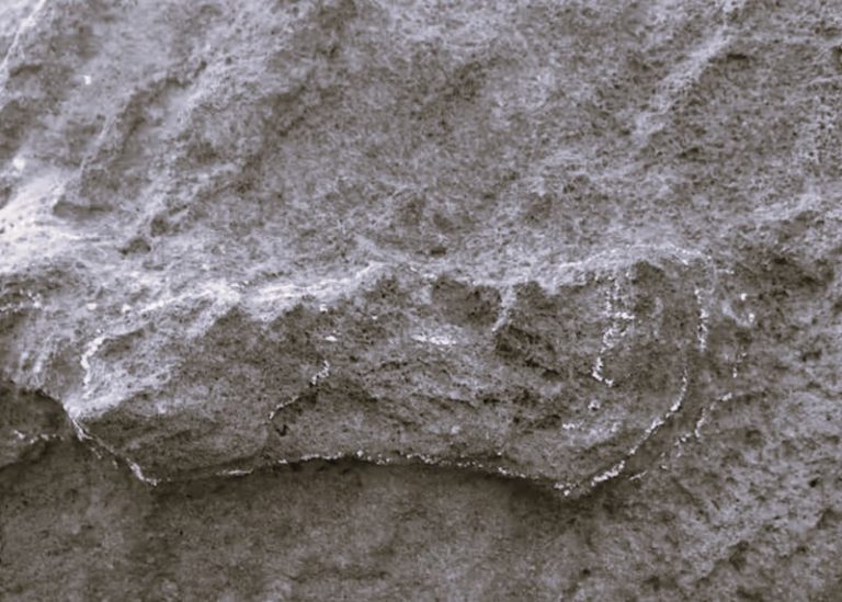 052423-05-Archaeology-Evolution