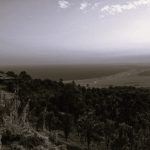 052423-09-Anthropology