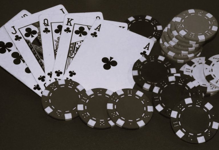 ExploringEvolutionHistory-ConstanzaMariola02