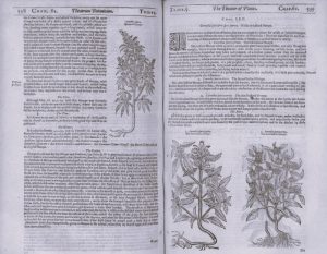 JourneyThroughTime-RickSanchez01