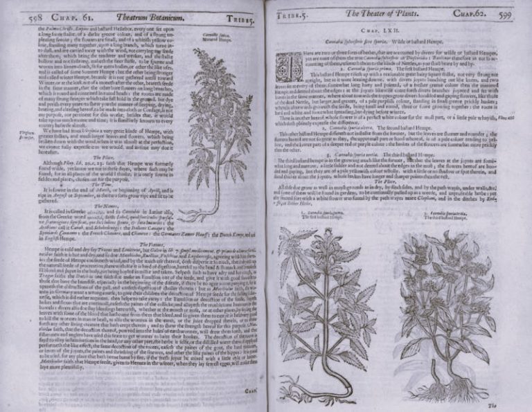 JourneyThroughTime-RickSanchez01