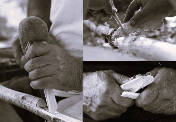 060523-14-Evolution-Science