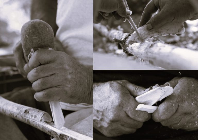 060523-14-Evolution-Science