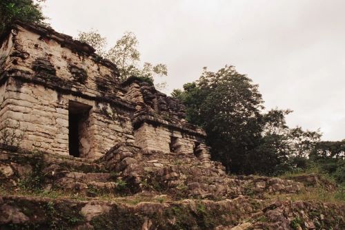 'Martial Practice': Considering the Ancient Maya and War as Inevitable
