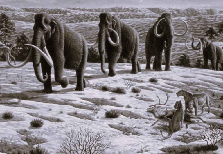 061523-01-Archaeology-Prehistory