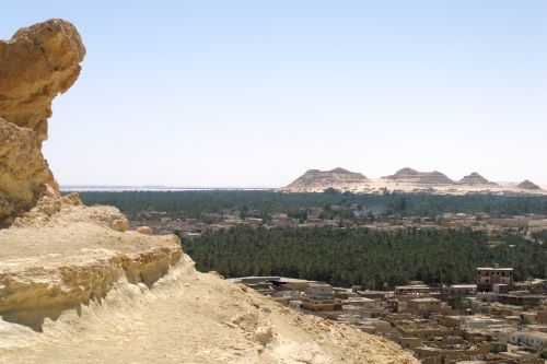 Unveiling Oracle Wisdom: Alexander the Great's Ancient Quest in Siwa 11 The Siwa Oasis is vast, extending beyond the horizon.