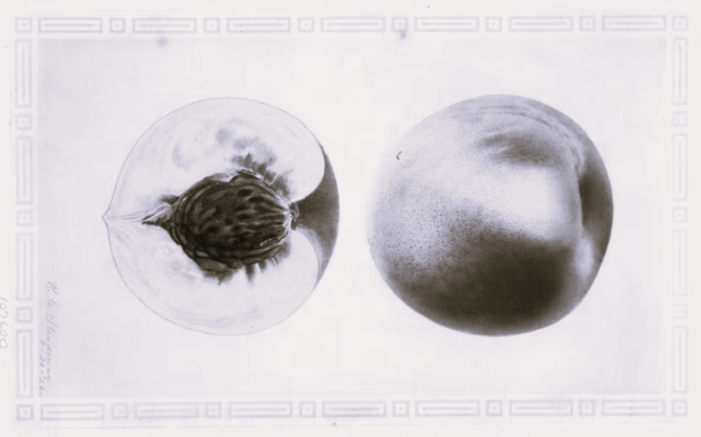 Screenshot 2023-06-07 185509