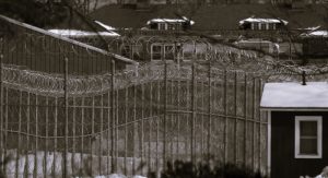 070623-54-Criminal-Justice