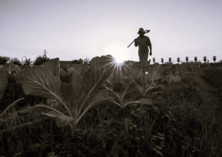 071923-17-Climate-Change