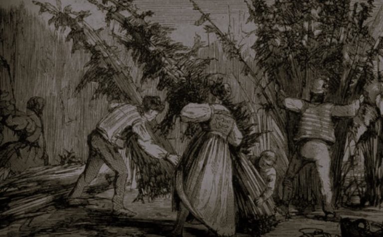 HistoryCBD-ClickIntelligence01