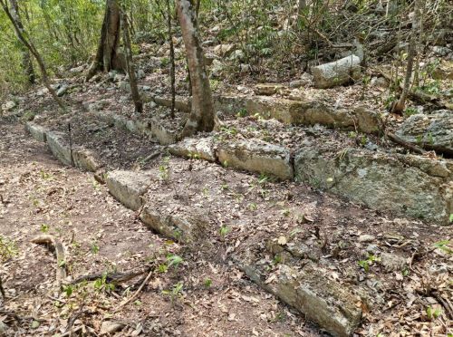 Using Science to Laser in on an Ancient Monumental Mayan City 6 The remains of a staircase still visible in the heart of Campeche's jungles