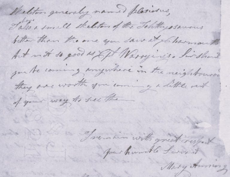Would You Like to Buy a Dinosaur?: Fossil Hunting and Discovery in the 19th Century 21 080323-15-Archaeology-Paleontology