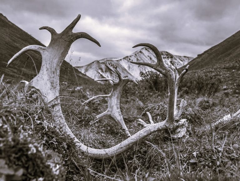 080423-03-Climate-Change