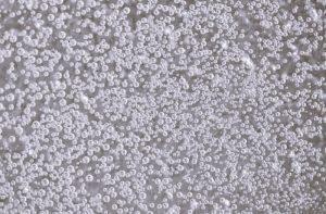 081523-08-History-Alcohol