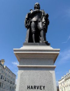 William Harvey's Discovery of Blood Circulation in the 17th Century