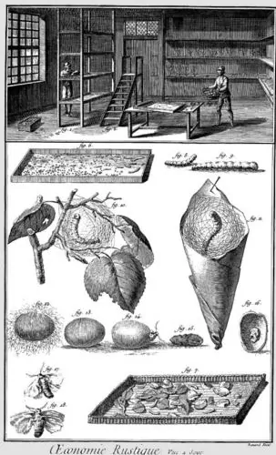Woven Illusions: Fashion and Mixed Fabrics in Early Modern Venetian Crete 5 A picture from the Encyclopรฉdie of Diderot and d'Alembert