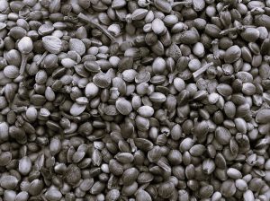 MasteringArt-IsabellaThomas02