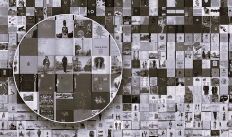 RiseDemocratization-VeselinaDzhingarova02