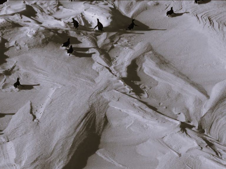 091423-01-Climate-Change