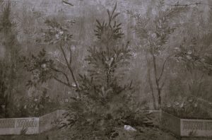 Ancient Greek Stories of Humans Transformed into Plants: Lessons about Fragility and Resilience 11 091923-27-Literature-Greece