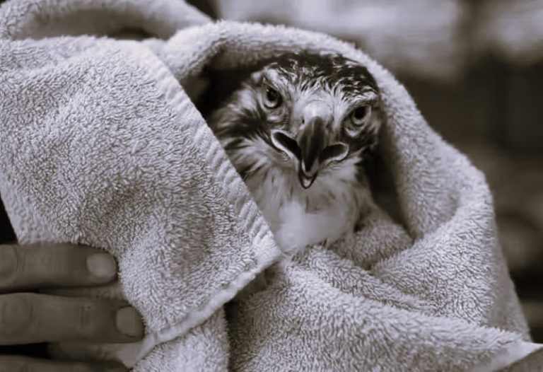 112623-14-Climate-Change