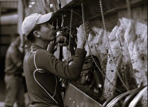 How Immigrant Dairy Farm Workers Go from Vital to Disposable 12 122023-01-Immigration-Labor